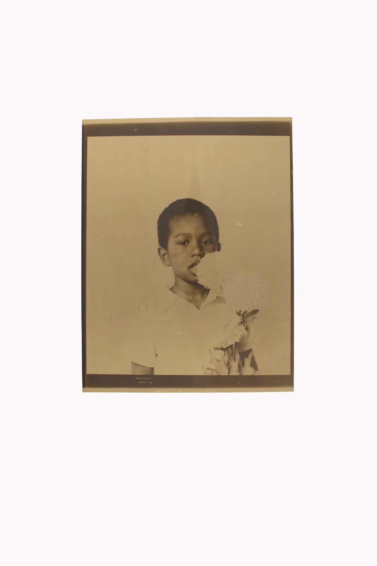 05_WEBSITEPORTFOLIO_ALTPROCESS